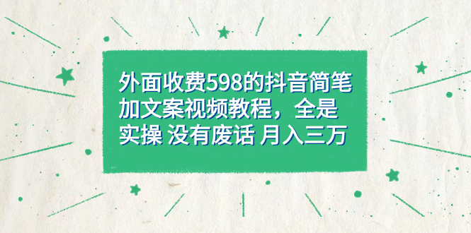 外面收费598抖音简笔加文案教程，全是实操 没有废话 月入三万（教程+资料）-选优云网创