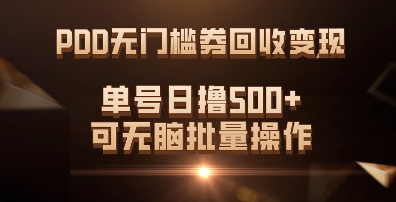 PDD无门槛券回收变现，单号日撸500+，可无脑-选优云网创