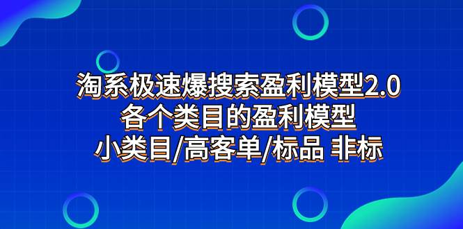 淘系极速爆搜索盈利模型2.0，各个类目的盈利模型，小类目/高客单/标品 非标-选优云网创