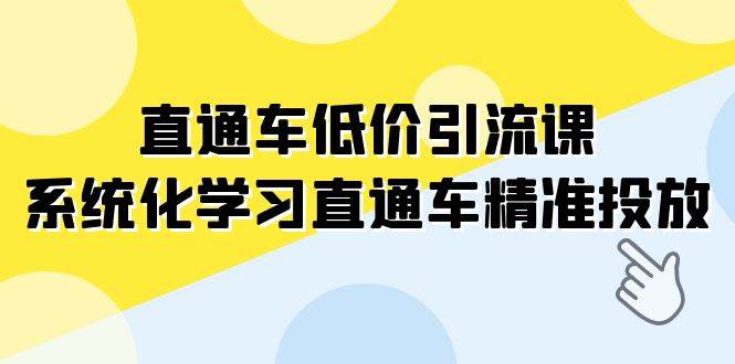 直通车-低价引流课，系统化学习直通车精准投放（14节课）-选优云网创