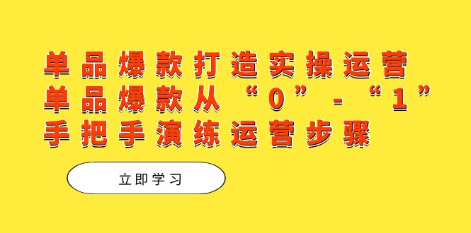 单品爆款打造实操运营，单品爆款从“0”-“1”手把手演练运营步骤-选优云网创