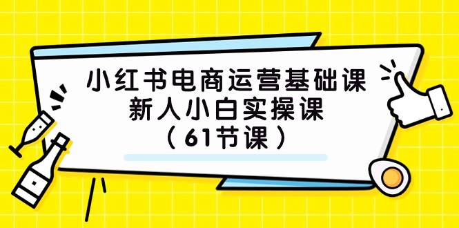 小红书电商运营基础课，新人小白实操课（61节课）-选优云网创