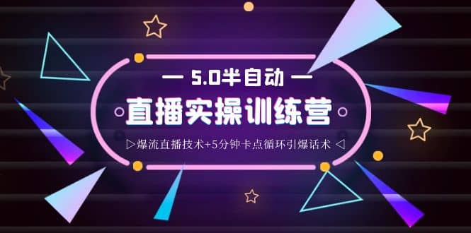 蚂蚁·5.0半自动直播2345打法，半自动爆流直播技术+5分钟卡点循环引爆话术-选优云网创