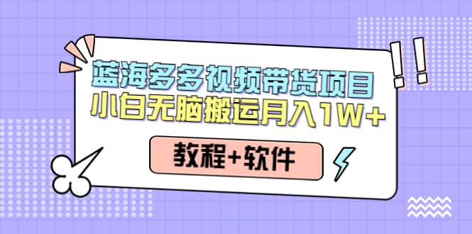 人人都能操作的蓝海多多视频带货项目 小白无脑搬运（教程+软件）-选优云网创