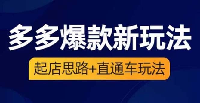 2023拼多多爆款·新玩法：起店思路+直通车玩法（3节精华课）-选优云网创