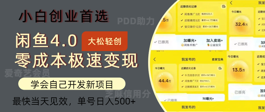 闲鱼0成本极速变现项目，多种变现方式，单号日入500+最新玩法-选优云网创