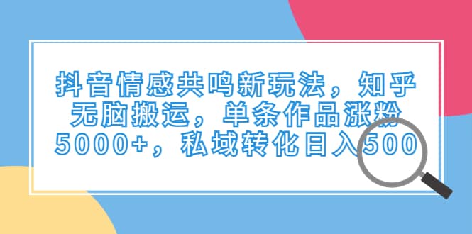 抖音情感共鸣新玩法，知乎无脑搬运，单条作品涨粉5000+，私域转化日入500-选优云网创