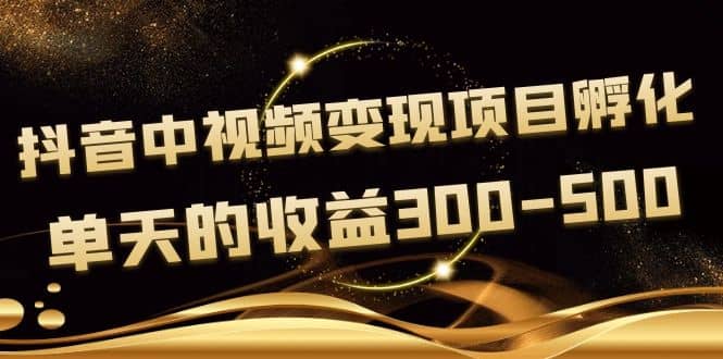 黄岛主《抖音中视频变现项目孵化》单天的收益300-500 操作简单粗暴-选优云网创