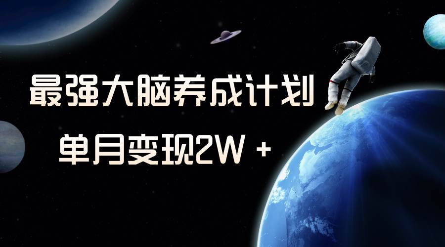 冷门虚拟项目，最强大脑养成计划，一个月变现2W＋-选优云网创