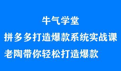 牛气学堂拼多多打造爆款系统实战课，老陶带你轻松打造爆款-选优云网创