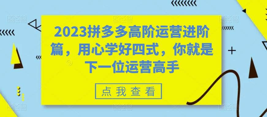 2023拼多多高阶运营进阶篇，用心学好四式，你就是下一位运营高手-选优云网创