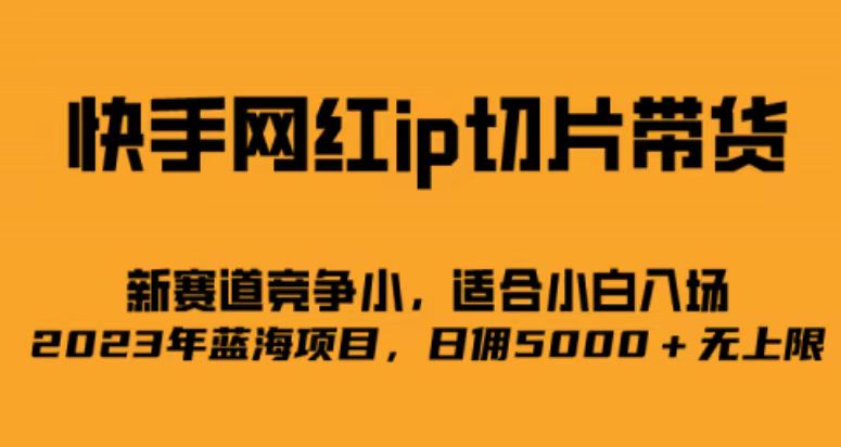 快手网红ip切片新赛道，竞争小事，适合小白 2023蓝海项目-选优云网创