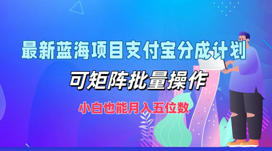 最新蓝海项目支付宝分成计划，小白也能月入五位数，可矩阵批量操作-选优云网创