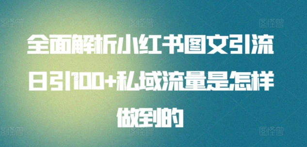 日引流100私域流量小红书图文是怎样做到的全面解析-选优云网创