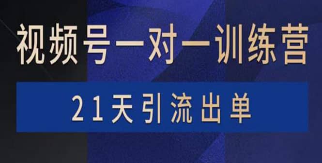 视频号训练营：带货，涨粉，直播，游戏，四大变现新方向，21天引流出单-选优云网创