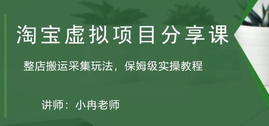 淘宝虚拟整店搬运采集玩法分享课：整店搬运采集玩法，保姆级实操教程-选优云网创