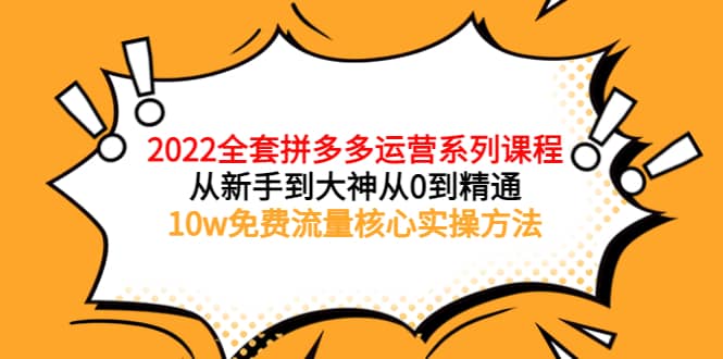 2022全套拼多多运营课程，从新手到大神从0到精通，10w免费流量核心实操方法-选优云网创