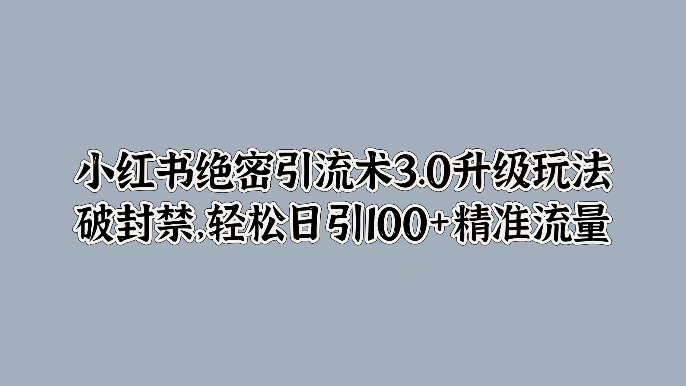 小红书绝密引流术3.0升级玩法，破封禁，轻松日引100+精准流量-选优云网创