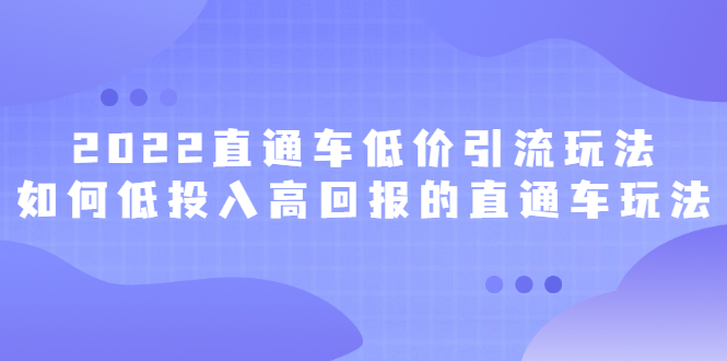 2022直通车低价引流玩法，教大家如何低投入高回报的直通车玩法-选优云网创