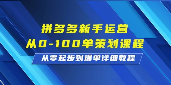 拼多多新手运营从0-100单策划课程，从零起步到爆单详细教程-选优云网创