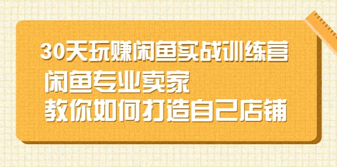 30天玩赚闲鱼实战训练营，闲鱼专业卖家教你如何打造自己店铺-选优云网创