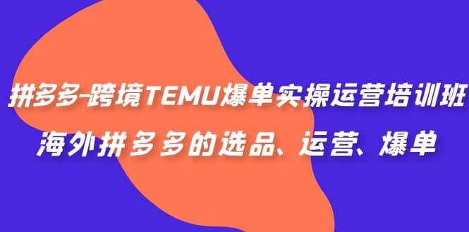 拼多多-跨境TEMU爆单实操运营培训班，海外拼多多的选品、运营、爆单-选优云网创