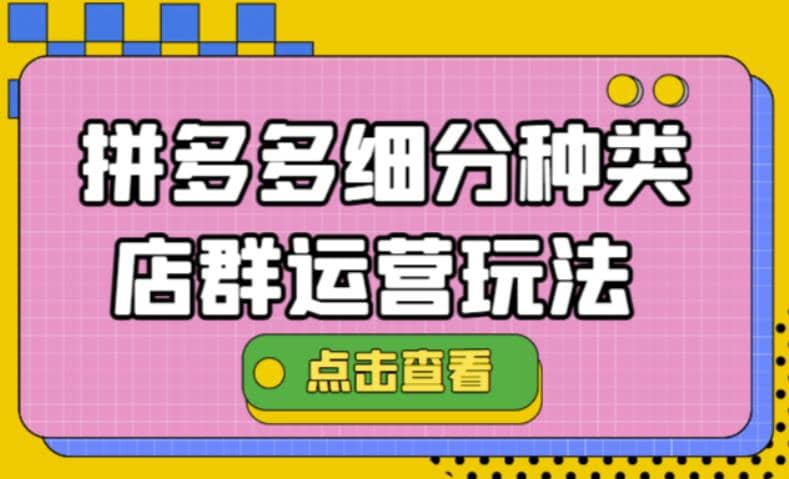 拼多多细分种类店群运营玩法3.0，11月最新玩法，小白也可以操作-选优云网创