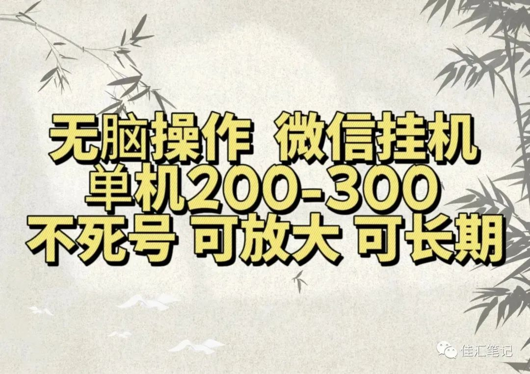 无脑操作微信视频号挂机单机200-300一天，不死号，可放大，工作室实测-选优云网创