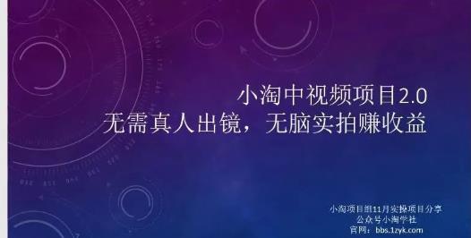 小淘项目组网赚永久会员，绝对是具有实操价值的，适合有项目做需要流程【持续更新】-选优云网创