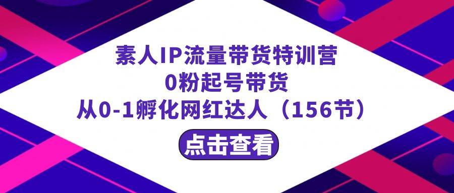 繁星·计划素人IP流量带货特训营：0粉起号带货 从0-1孵化网红达人（156节）-选优云网创