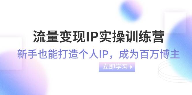 流量变现-IP实操训练营：新手也能打造个人IP，成为百万博主（46节课）-选优云网创