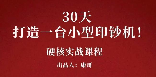 康哥30天打造一台小型印钞机：躺赚30万的项目完整复盘（视频教程）-选优云网创