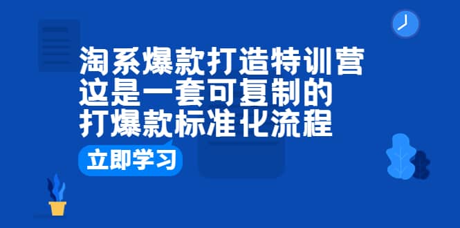 淘系爆款打造特训营：这是一套可复制的打爆款标准化流程-选优云网创