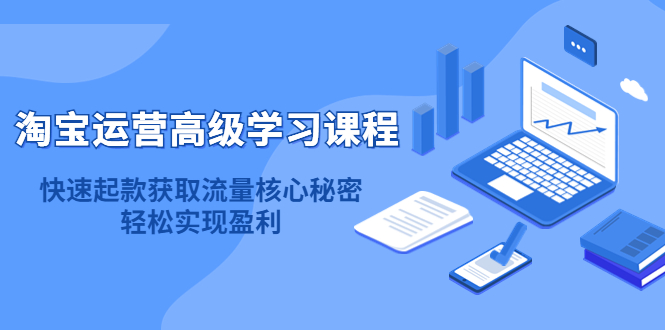 淘宝运营高级学习课程：快速获取流量核心秘密，轻松实现盈利！-选优云网创