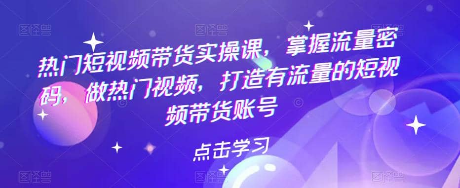 热门短视频带货实战 掌握流量密码 做热门视频 打造有流量的短视频带货账号-选优云网创