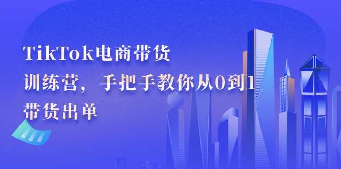 TikTok电商带货训练营，手把手教你从0到1带货出单-选优云网创