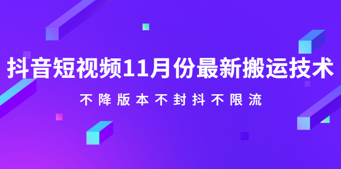 抖音短视频11月份最新搬运技术，不降版本不封抖不限流！【视频课程】-选优云网创