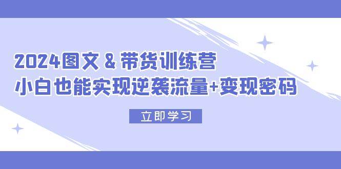 2024 图文+带货训练营，小白也能实现逆袭流量+变现密码-选优云网创