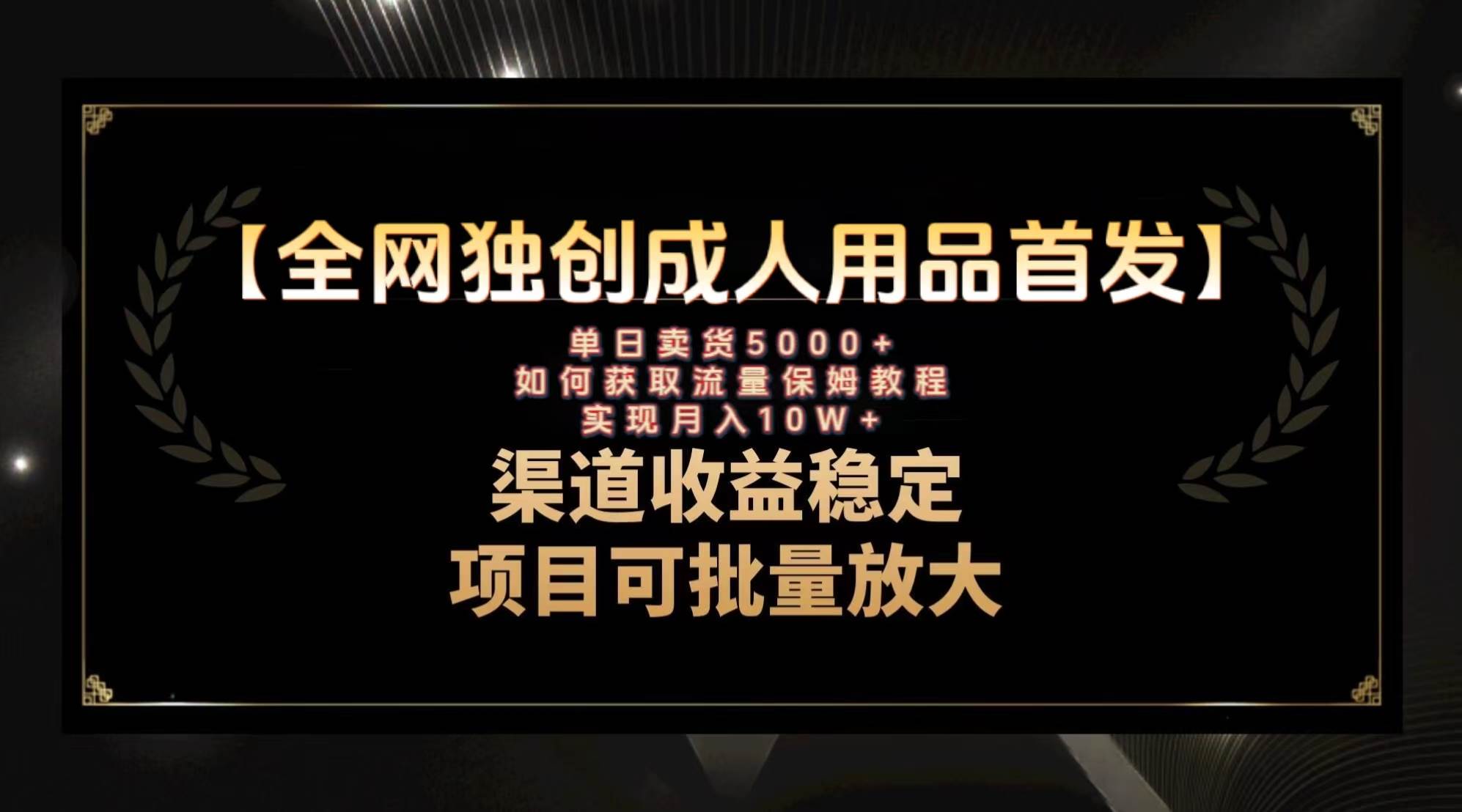 最新全网独创首发，成人用品赛道引流获客，月入10w保姆级教程-选优云网创