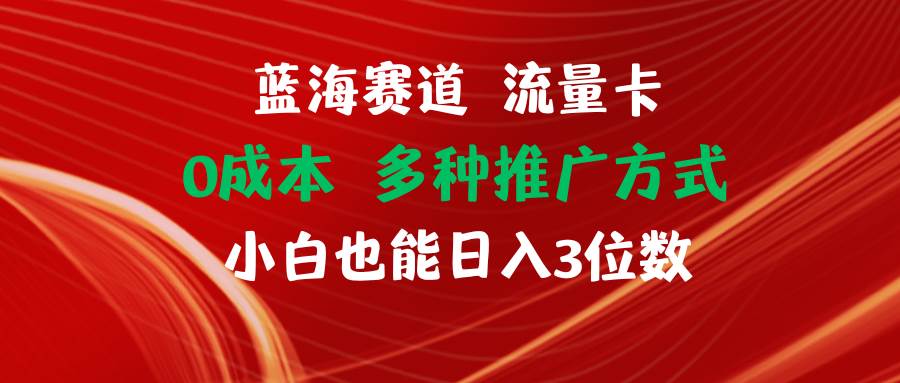 蓝海赛道 流量卡 0成本 小白也能日入三位数-选优云网创