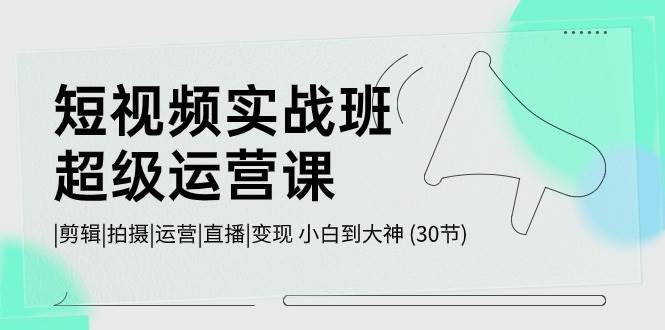 短视频实战班-超级运营课，|剪辑|拍摄|运营|直播|变现 小白到大神 (30节)-选优云网创