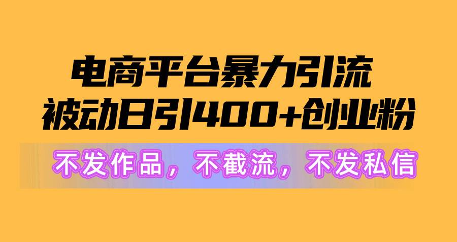 电商平台暴力引流,被动日引400+创业粉不发作品，不截流，不发私信-选优云网创