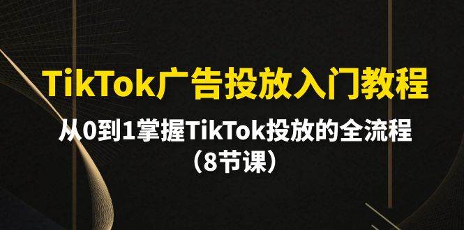 TikTok广告投放入门教程，从0到1掌握TikTok投放的全流程（8节课）-选优云网创