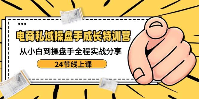 电商私域-操盘手成长特训营：从小白到操盘手全程实战分享-24节线上课-选优云网创