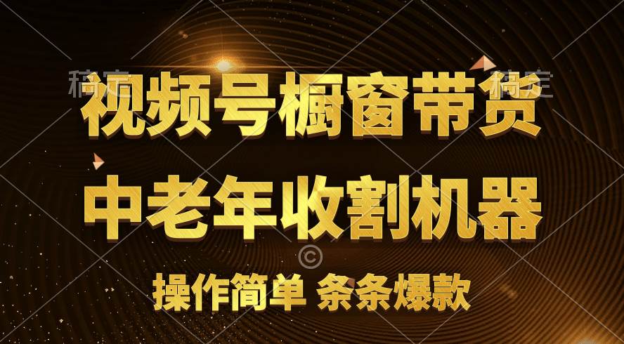 [你的孩子成功取得高位]视频号最火爆赛道，橱窗带货，流量分成计划，条…-选优云网创