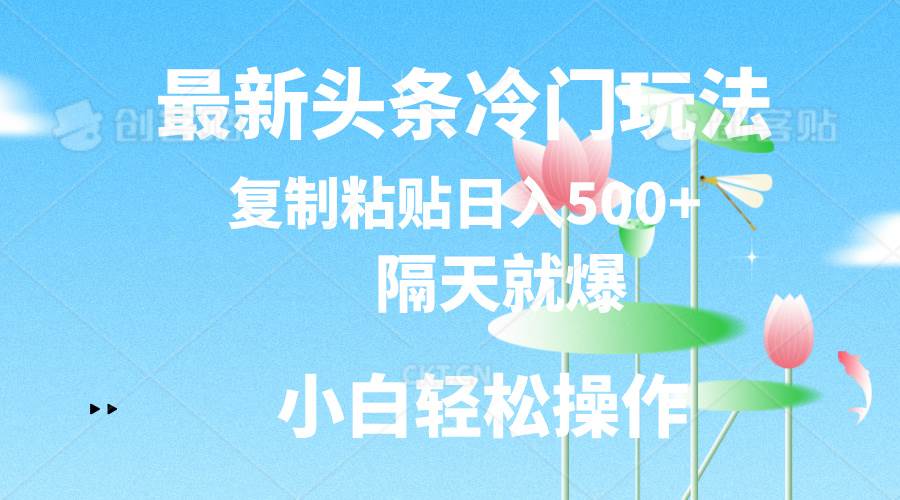 最新头条冷门玩法，隔天就爆，复制粘贴日入500+-选优云网创