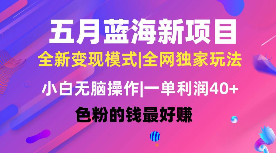 五月蓝海项目全新玩法，小白无脑操作，一天几分钟，矩阵操作，月入4万+-选优云网创