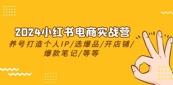 2024小红书电商实战营，养号打造IP/选爆品/开店铺/爆款笔记/等等（24节）-选优云网创