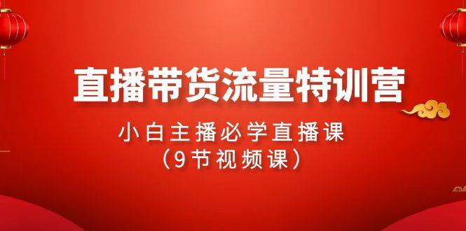 2024直播带货流量特训营，小白主播必学直播课（9节视频课）-选优云网创