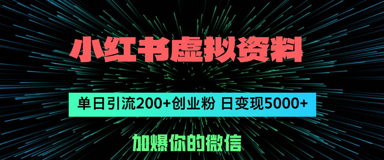 小红书虚拟资料日引流200+创业粉，单日变现5000+-选优云网创